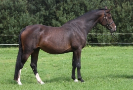 Lamaze F. Damgaard